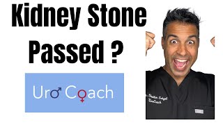 Kidney Stone…Did I Pass It ? thumbnail