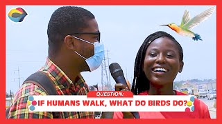 If Humans Walk, What Do Birds Do? | Street Quiz | Funny Videos | Funny African Videos |