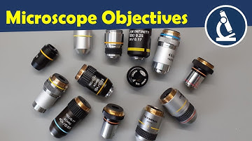 🔬The Ultimate Guide to Microscope Objectives (Explained Simply)