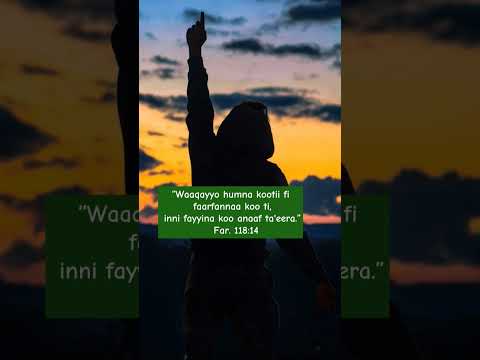 Waaqayyo Humna Keenya Faarfannaa Afaan Oromoo Wangeela Bible