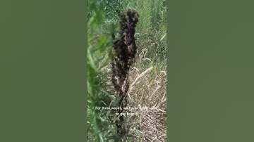 The Future of War: AI Tactics Reshaping Ukraine