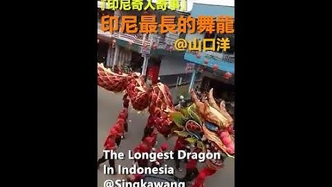 印尼最長的舞龍在山口洋『印尼奇人奇事』迎接2018農曆新年｜The Longest Dragon Dance In Indonesia is at Singkawang｜Unique