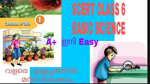SCERT Class6 Basic Science chapter 1
