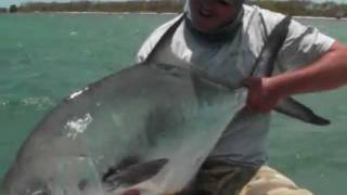 Largest Permit I Have Ever Seen - Huge Fish!