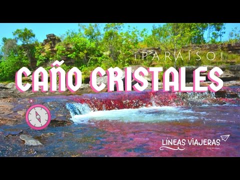 Video: Neverjeten Planet: Raznobarvna Reka Caño Cristales