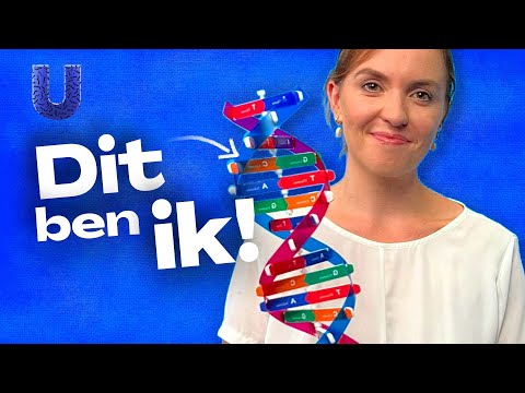 Video: Wie het die meeste DNA?