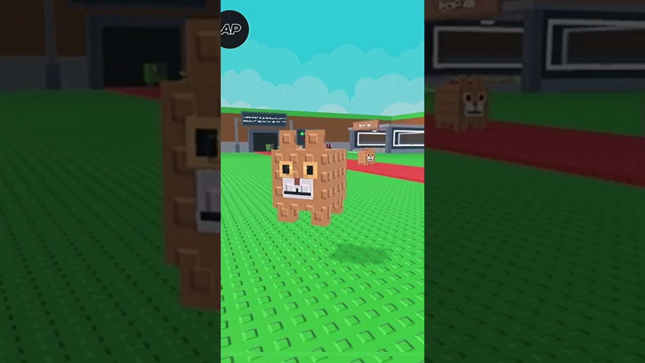 Укради русский брейнрот|куку я немножко 