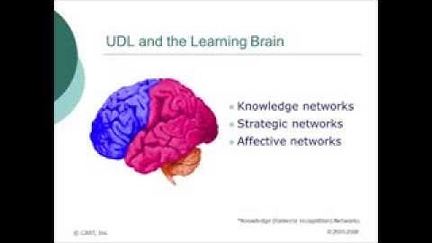 Three Brain Networks mov 640x480