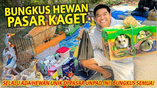 BUNGKUS APAPUN HEWAN YANG AKU SUKA DI PASAR KAGET UNPAD! PALING MENGESANKAN YANG PERNAH AKU DATANGI!
