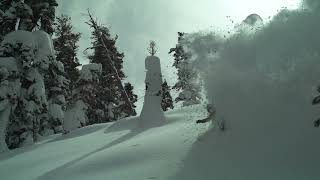 United Shapes Cadet Snowboard | Refined Performance for Modern Freeride