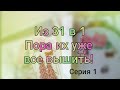 Вышивка крестиком//Пора их уже все вышить! Из 31 в 1