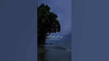 أكتب شيء تؤجر عليه🤍. وَاللَّهُ يُرِيدُ أَنْ يَتُوبَ عَلَيْكُمْ | سورة النساء| القارئ محمد الليحدان