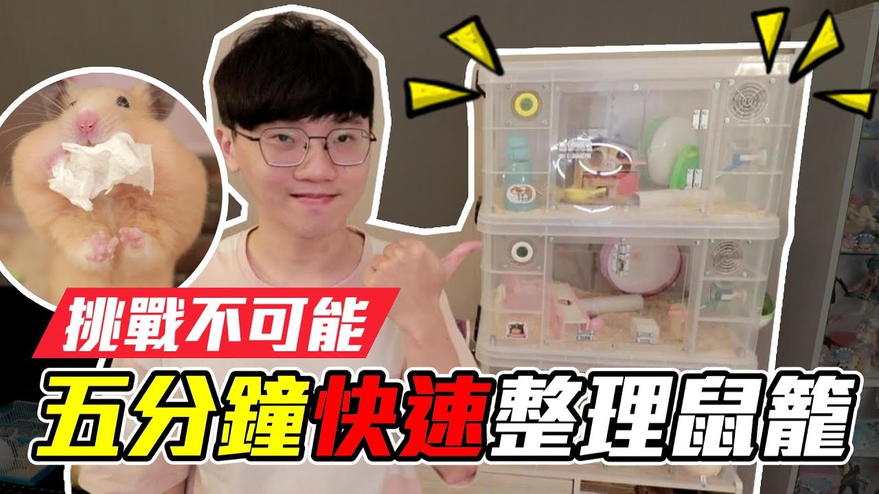 【鼠鼠告訴你】挑戰不可能?!五分鐘快速打掃倉鼠整理箱!【維特】#9