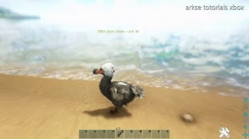 how to color dinos in ark using the command | quick and easy