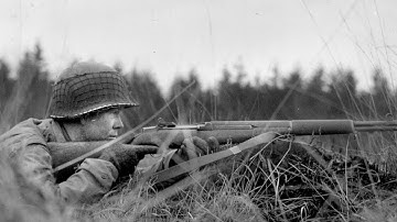 German Engineers Tested a Captured M1 Carbine — Admitted Its 15-Round Mag Changed Infantry War