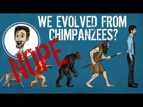 Video: Har mennesker utviklet seg fra sjimpanser?