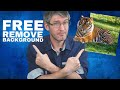 Background Removal Tutorial Quiz