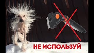 СЕКРЕТ ФУРМИНАТОРА! Каким собакам нельзя использовать для вычесывания! СЕКРЕТ ФУРМИНАТОРА! Каким собакам нельзя использовать для вычесывания!