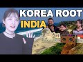 Korea root india
