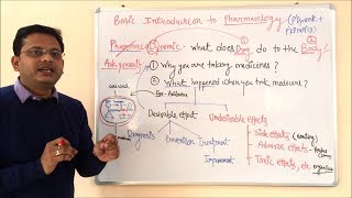 Pharmacokinetic and Pharmacodynamic | General Pharmacology | General Pharmacology | ADME Concepts