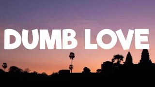 Mimi Webb - dumb love ( lyrics)