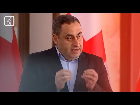 გიორგი ვაშაძე სამთავრობო მედიას რეპუტაციის მიზანმიმართულ შელახვაში ადანაშაულებს
