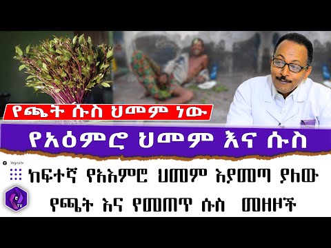 ቪዲዮ: ለአእምሮ ጉዳት ማገገሚያ?