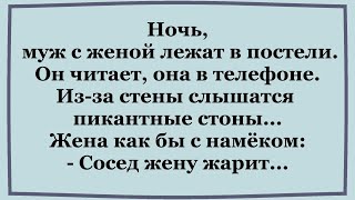 Когда из за стены слышатся пикантные стоны..   Подборка смешных анекдотов.