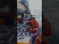 PENUH KAPAL IKAN BABY TUNA