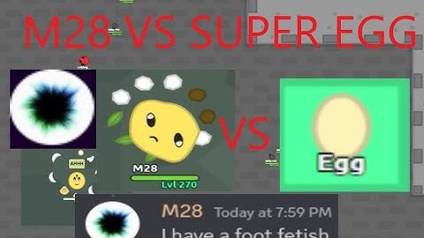 Florr.io - THE DEVELOPER(M28) vs SUPER EGG!!