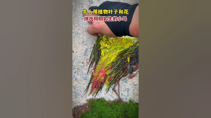 重庆，艺术无处不在！牛人小哥用树叶和花朵，摆出栩栩如生的小鸟 #高手在民间 #艺术 - 天天要闻