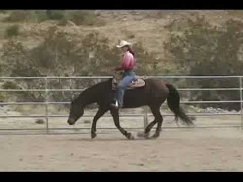 Hands Free Riding - Reining