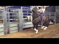 Dena kirkpatrick winning the round at the 2018 houston rodeo