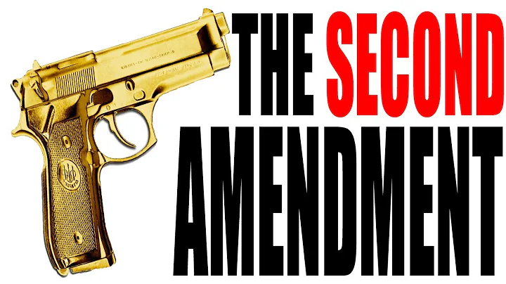 The Second Amendment Explained: The Constitution for Dummies Series