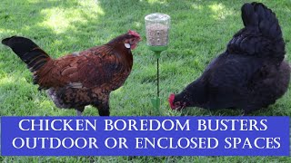 Chicken Boredom Busters for Outdoor or Enclosed Spaces