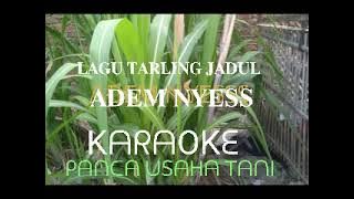 PANCA USAHA TANI KARAOKE TENGDUNG