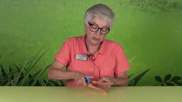 Learning to Use Scissors