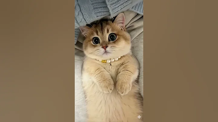 Watch the video about ✨ The Pearl Princess! Those Eyes Demand Attention! 👑