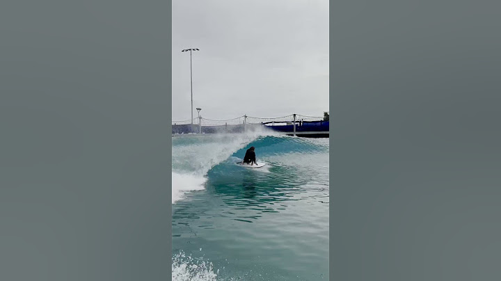 Rob Machado rides the 'Too Fish' by Firewire Surfboards