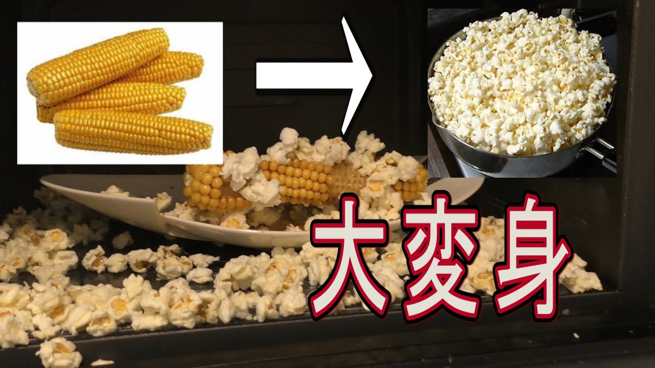 とうもろこしを電子レンジでチンしたらヤバイ事に Youtube とうもろこしを電子レンジでチンしたらヤバイ事に Youtube