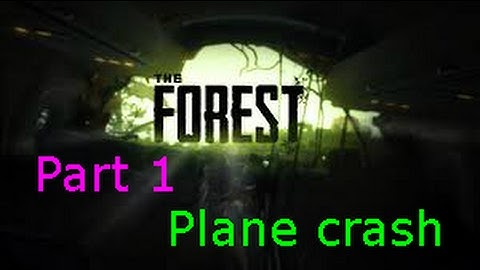 The Forest. Episode 1 plane crash