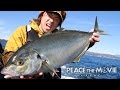 PEACE THE MOVIE #16「伊豆で寒グレ釣り!あわよくばシマアジ!」フカセ釣り・伊豆半島沖横根の旅(後編)/平和卓也(679)