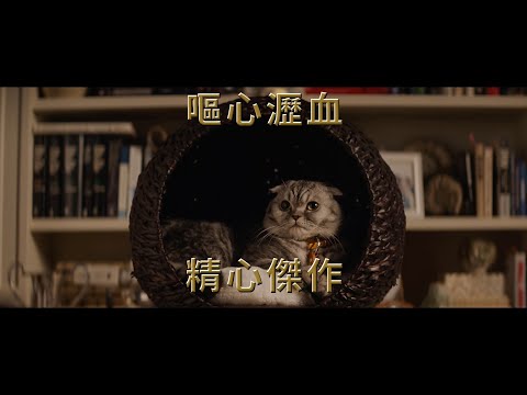 【機密特務: 阿蓋爾】精彩花絮 : 貓咪篇 - 現正熱映中