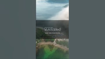 سورة الحج - عبدالرحمن مسعد