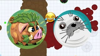 قيم بالصوت-الفقمة والخنزير?Agar.io Mobile