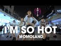 [KPOP IN PUBLIC CHALLENGE] MOMOLAND(모모랜드) _ I'm So Hot |커버댄스 Dance Cover| By B-Wild From Vietnam