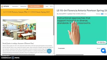 UDL reflection video