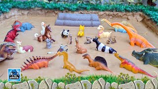 Dinosaurs Meet Cute Animals in Muddy Adventure! Fun Learning for Kids | D for Dinosaur