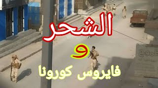 فيروس كورونا الشحر محافظة حضرموت (اليمن ) اول حالة بفيروس كورونا