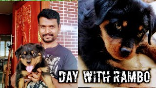 DAY WITH RAMBO | ROTT WEILER PUPPY | TAMIL VLOGS